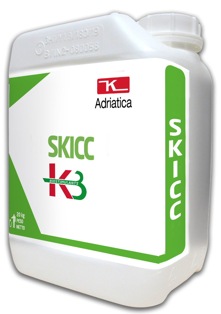 SKICC-ST