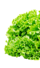 insalata.jpg